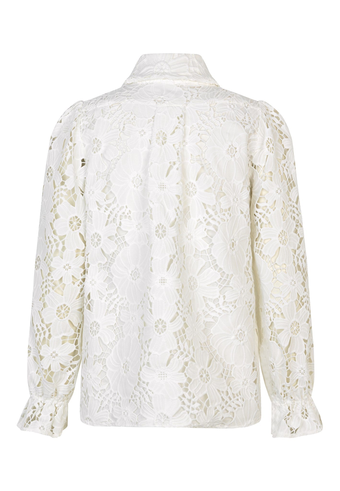 0570125 1002 Highress Back