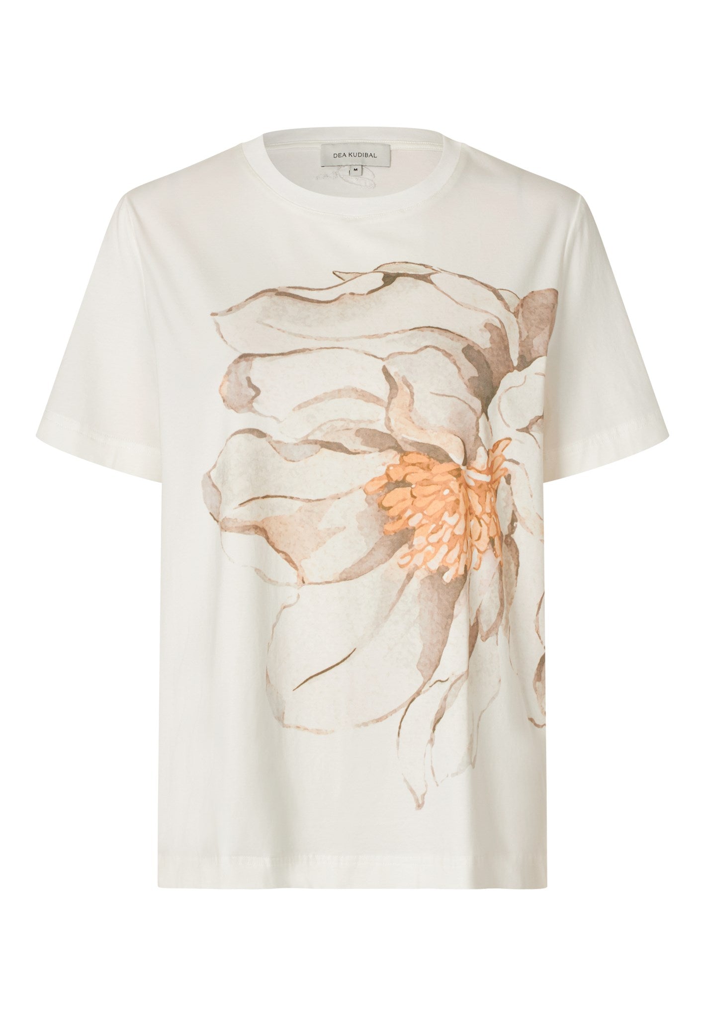 2460326 5984 Highres