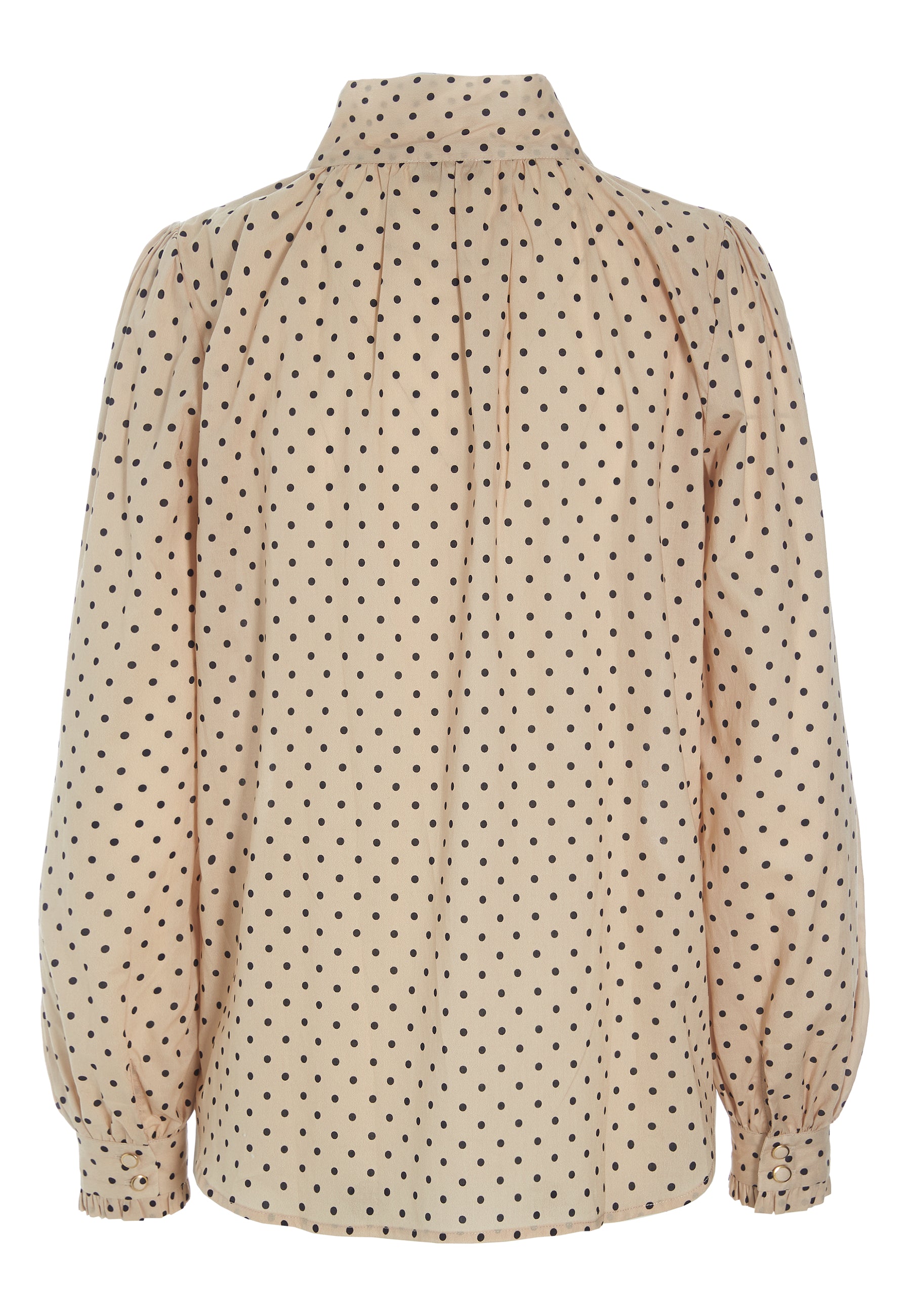 25-0722NS CO_5585_Highres_A