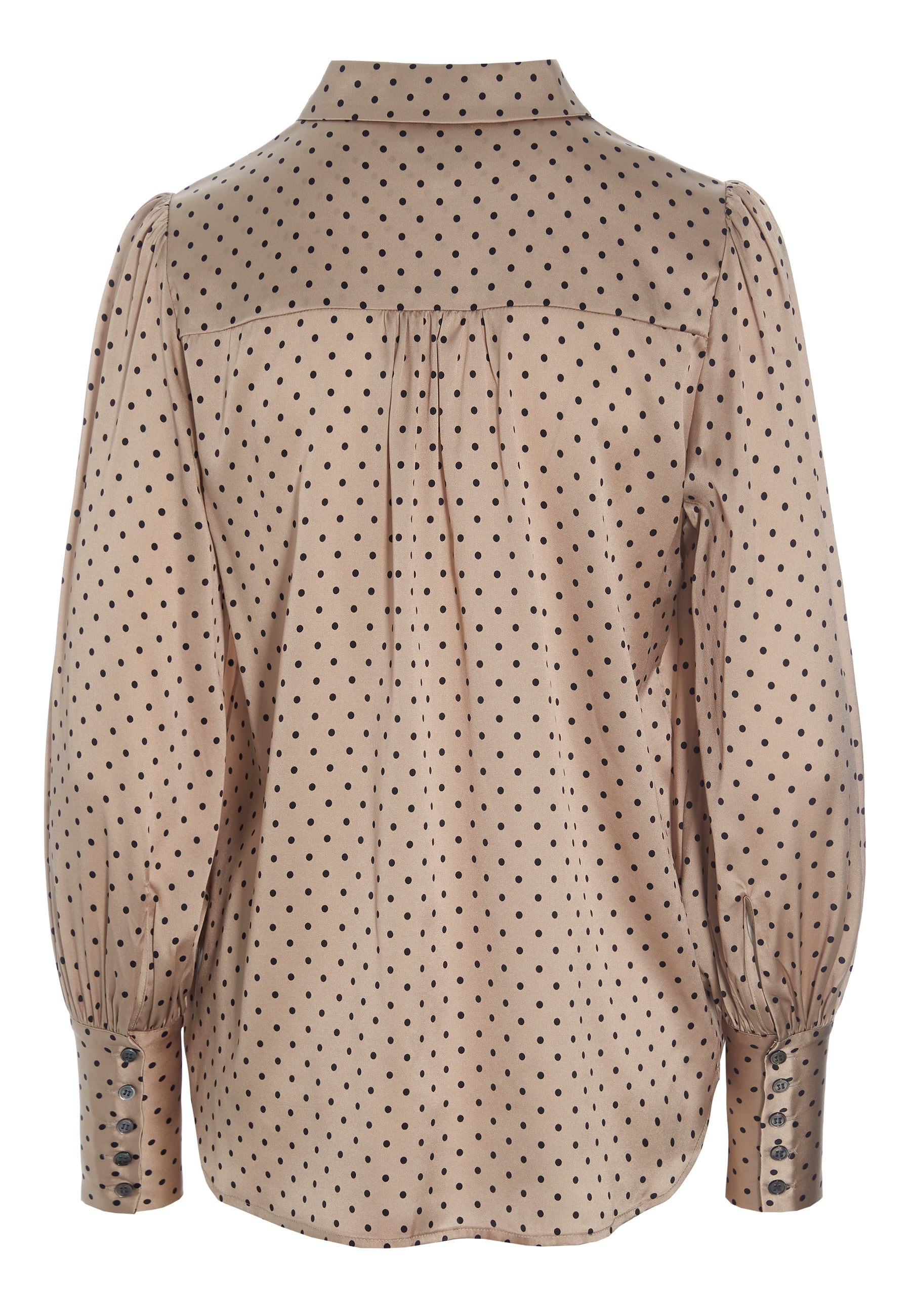 28-0722_5585_Highres_A