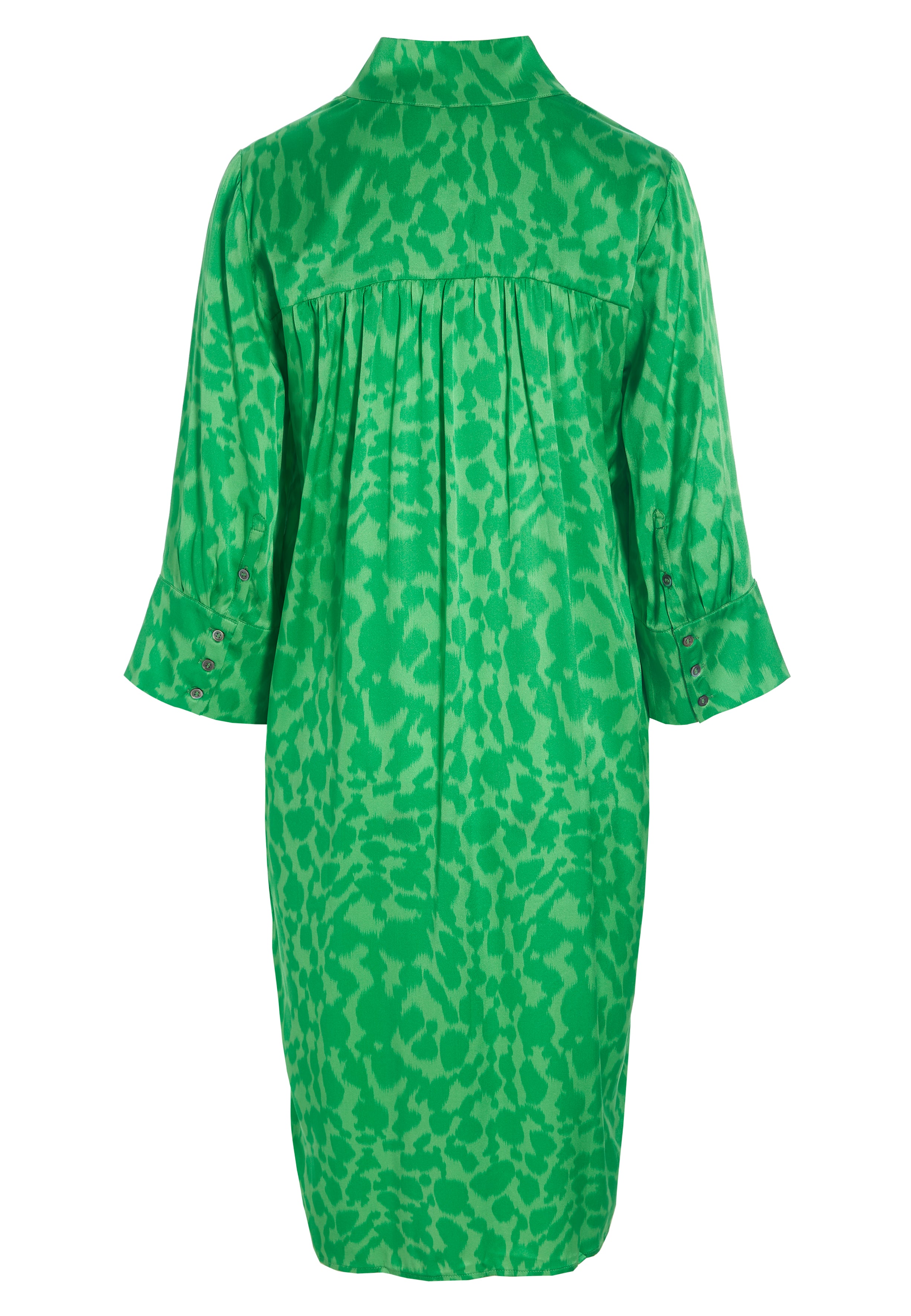 49-0123_5633_Highres_A